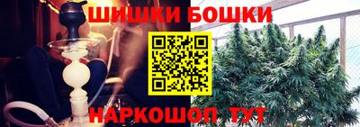ешки Будённовск