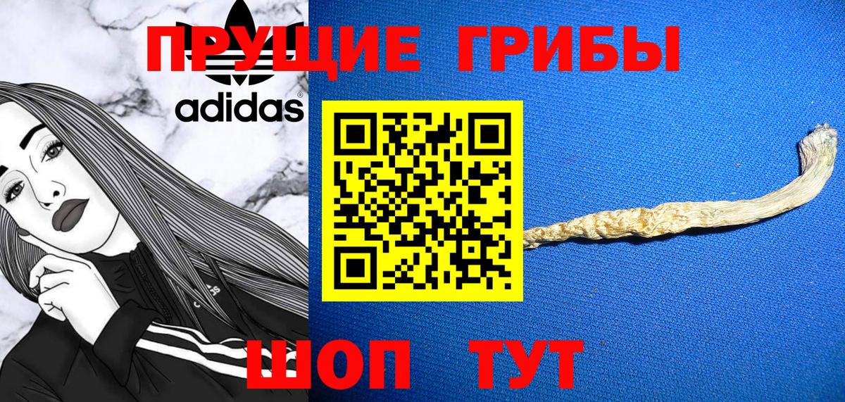 Псилоцибиновые грибы Psilocybe Саранск