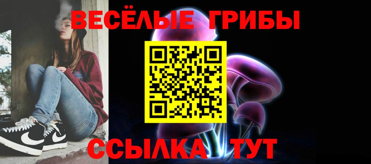 Галлюциногенные грибы Cubensis  Галлюциногенные грибы MAGIC MUSHROOMS  Вход с VPN  сколько стоит  Саранск 