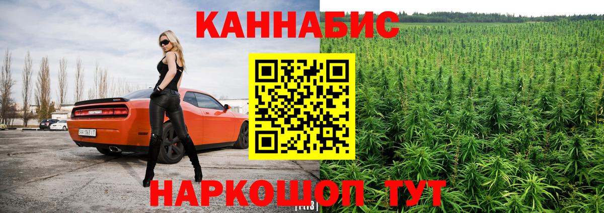 Конопля планчик Саранск